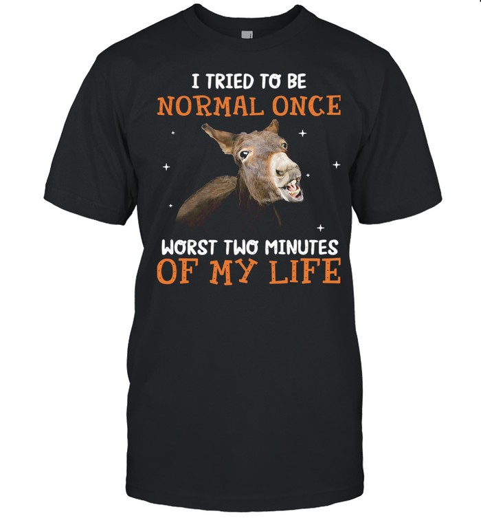 Donkey I Tried To Be Normal One Worst Two Minutes Of My Life  Classic Men's T-shirt