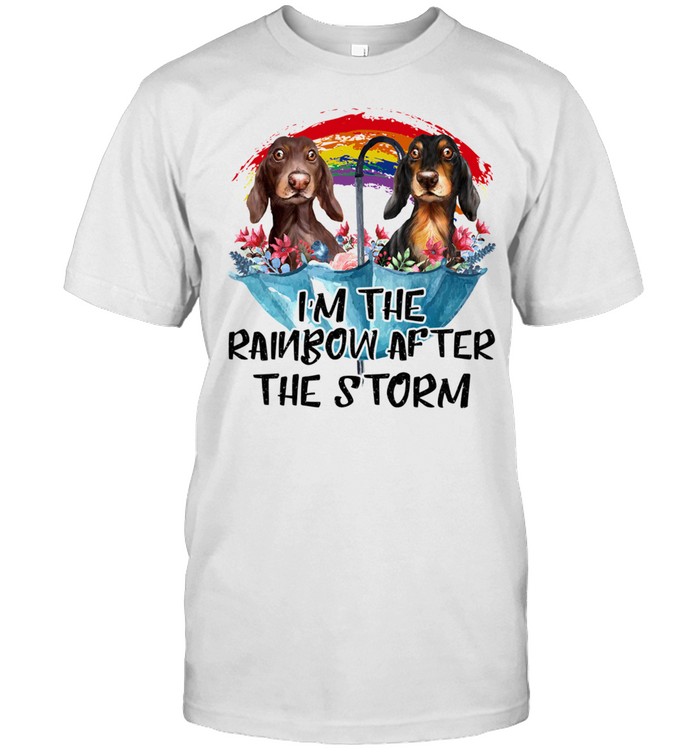 Dachshund Im The Rainbow After The Storm shirt Classic Men's T-shirt