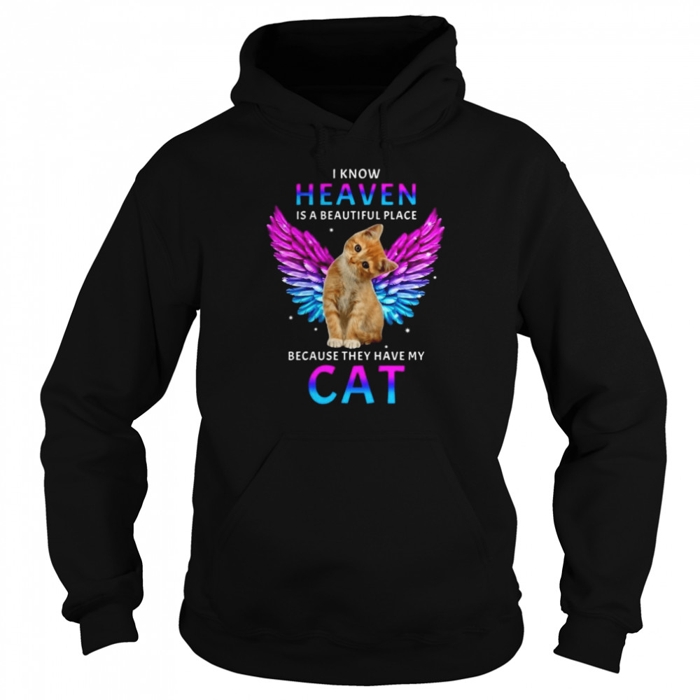 Cat Angel I Know Heaven Is A Beautiful Place Because They Have My Cat T-shirt Unisex Hoodie