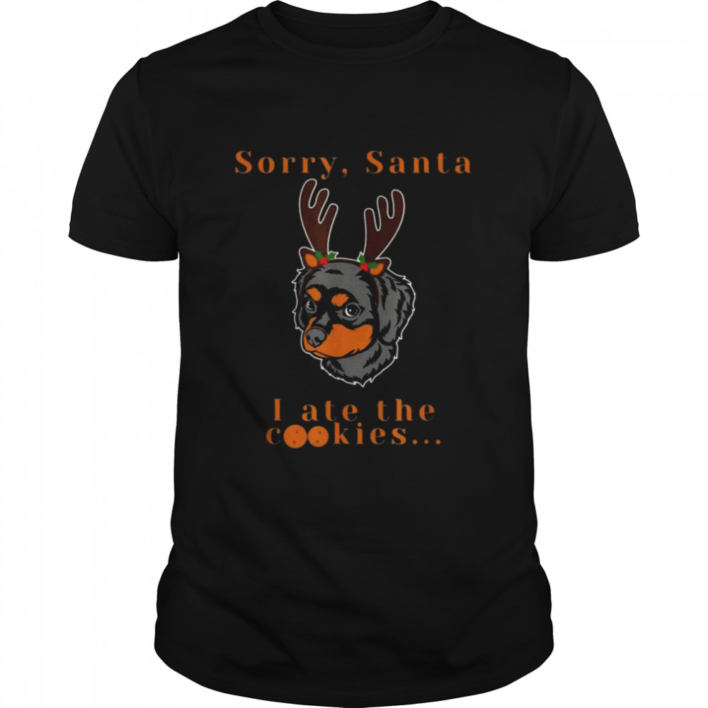 Sorry Santa I Ate the Cookies 2021  Classic Men's T-shirt