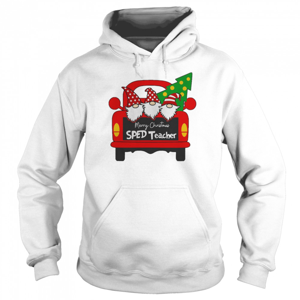 Merry Christmas SPED Teacher Christmas Sweater  Unisex Hoodie