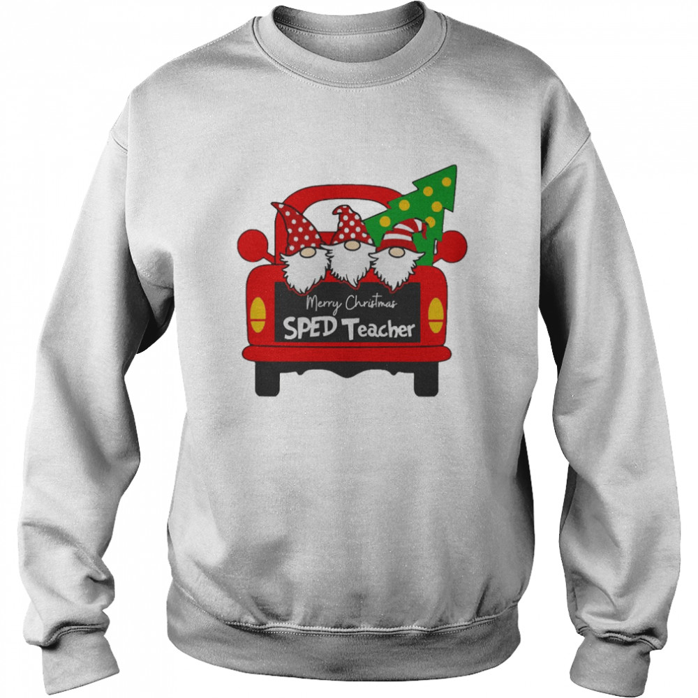 Merry Christmas SPED Teacher Christmas Sweater  Unisex Sweatshirt