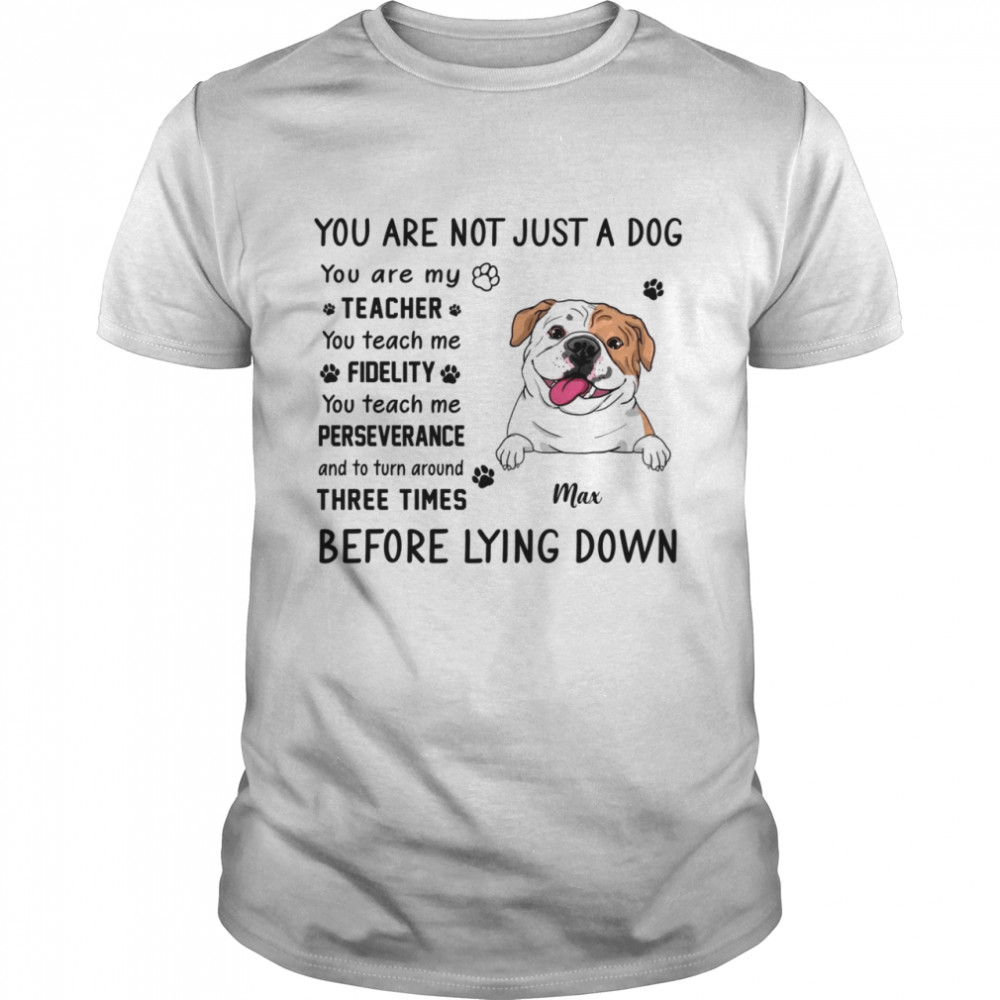 Dogs  - You are not just a dog  Classic Men's T-shirt