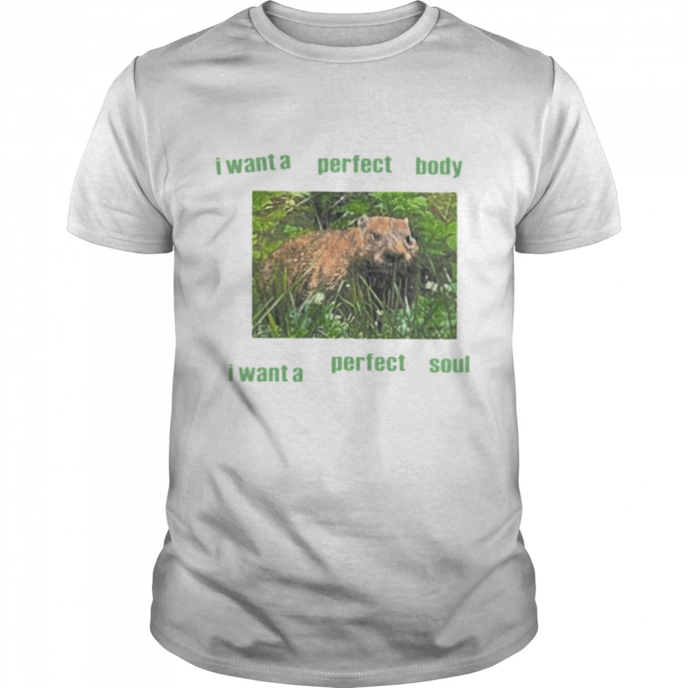 I Want Perfect Body I Want Perfect Soul Groundhog Baby Tee Shirt