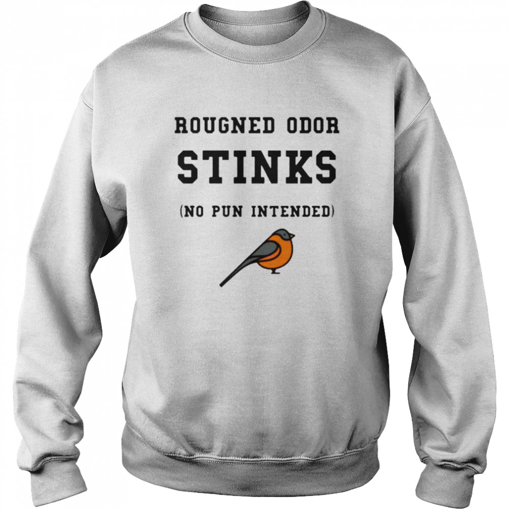 Baltimore Orioles Rougned odor stinks no pun intended shirt Unisex Sweatshirt