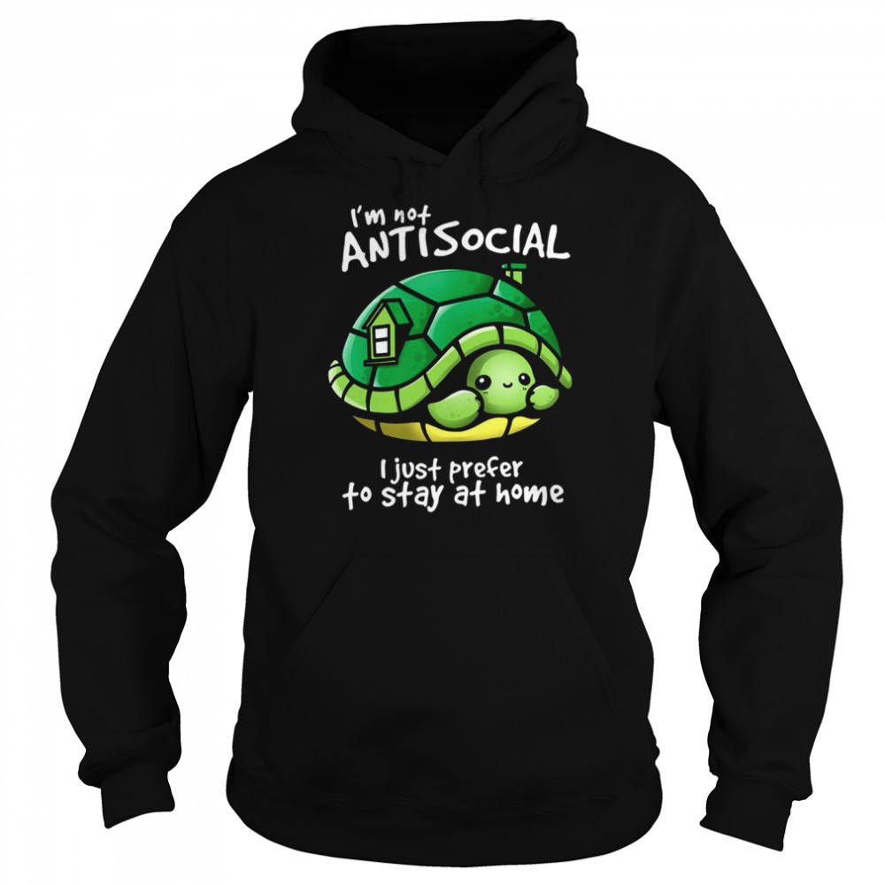im not antisocial turtle i just prefer to stay at home shirt unisex hoodie