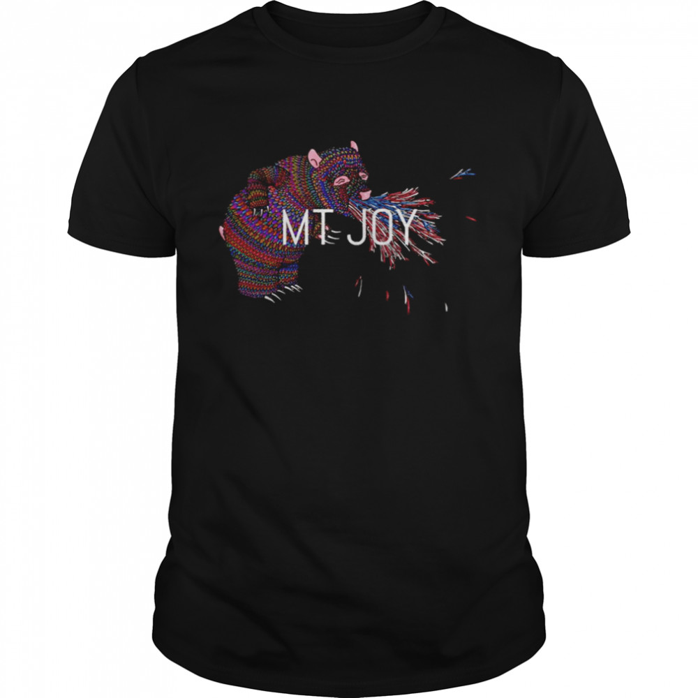 Aesthetic Art Mt Joy shirt