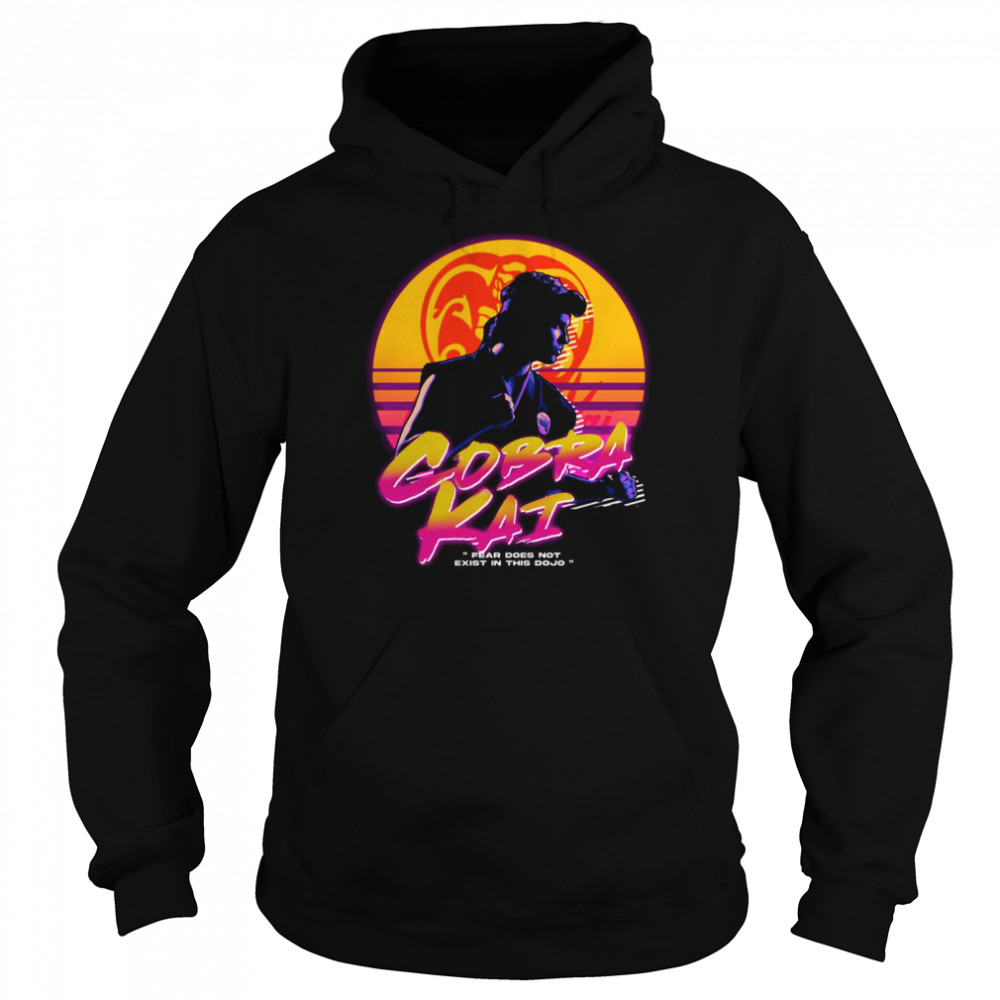 Fear Does Not Exist In This Dojo Graphic shirt Unisex Hoodie