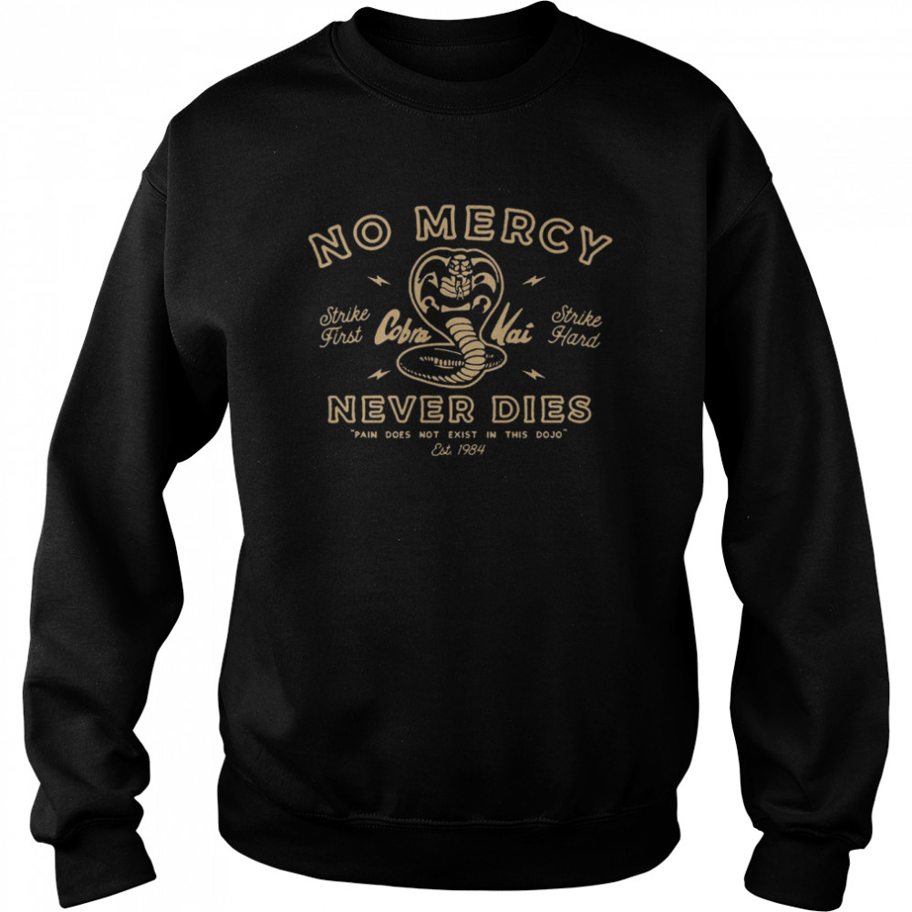 Never Dies Strike Strike Hard Pain Doesn’t Exist In This Dojo shirt Unisex Sweatshirt