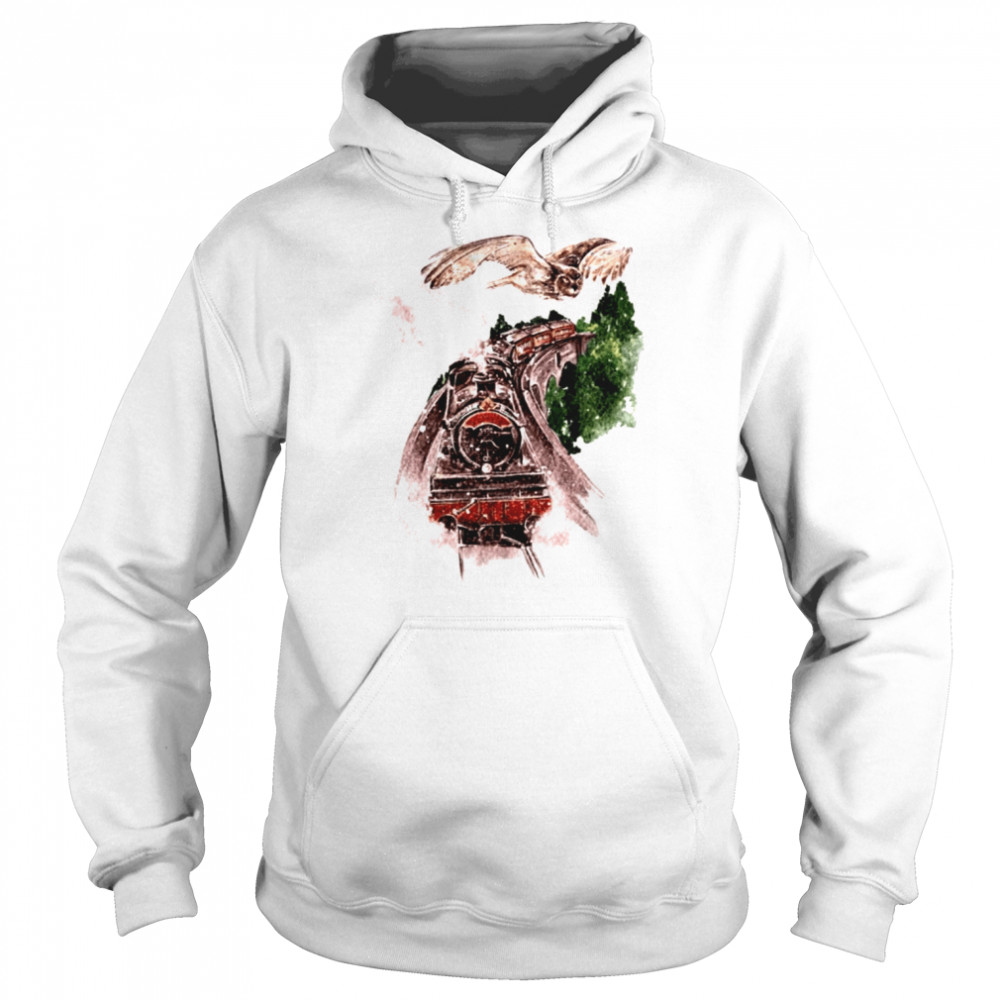 Train To The School Of Magic Wizard Harry’s Owl Harry Potter Chritsmas shirt Unisex Hoodie