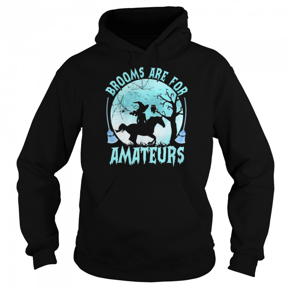 Witch Reading Horse Brooms Are For Amateurs Halloween  Unisex Hoodie