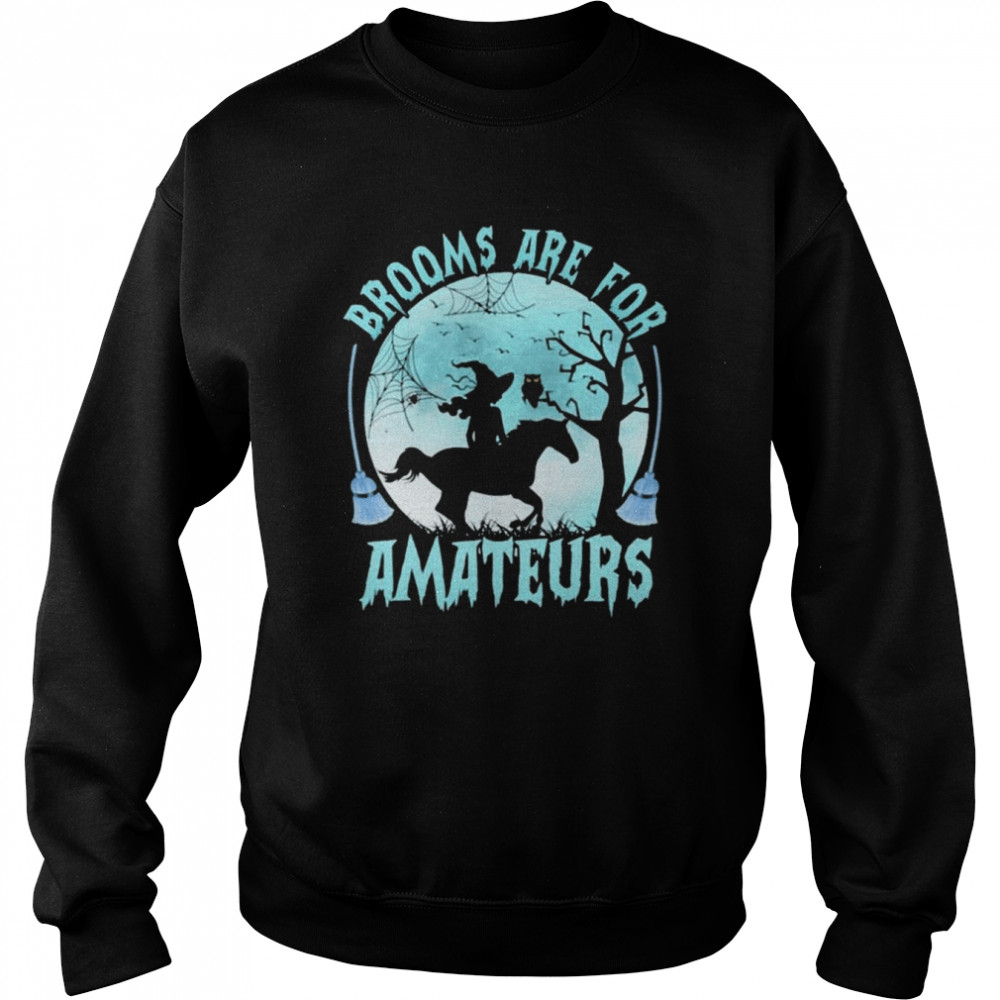 Witch Reading Horse Brooms Are For Amateurs Halloween  Unisex Sweatshirt