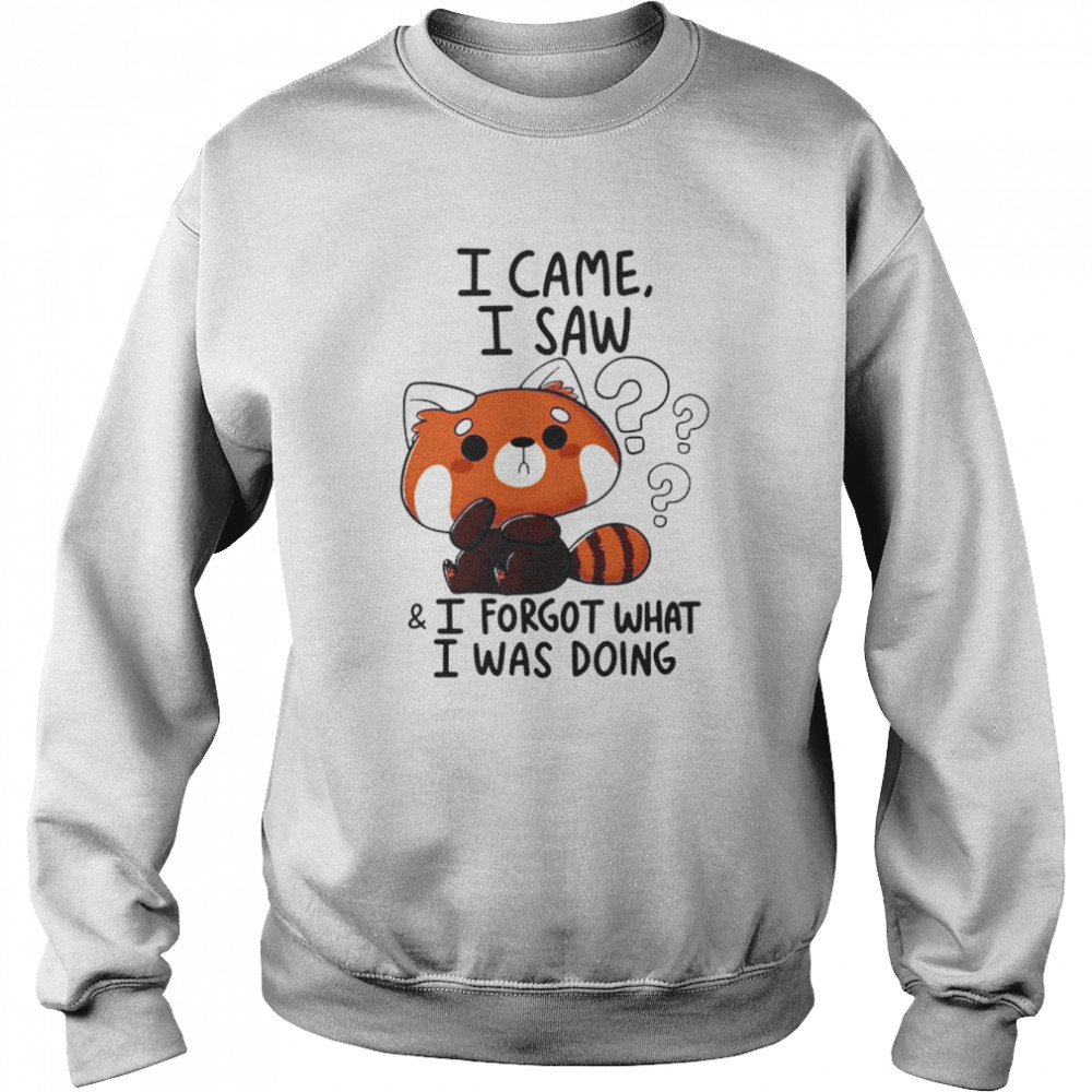 I Came I Saw I Forget What I Was Doing Forgetful Red Panda Hilarious Witty Humor Funny Meme shirt Unisex Sweatshirt
