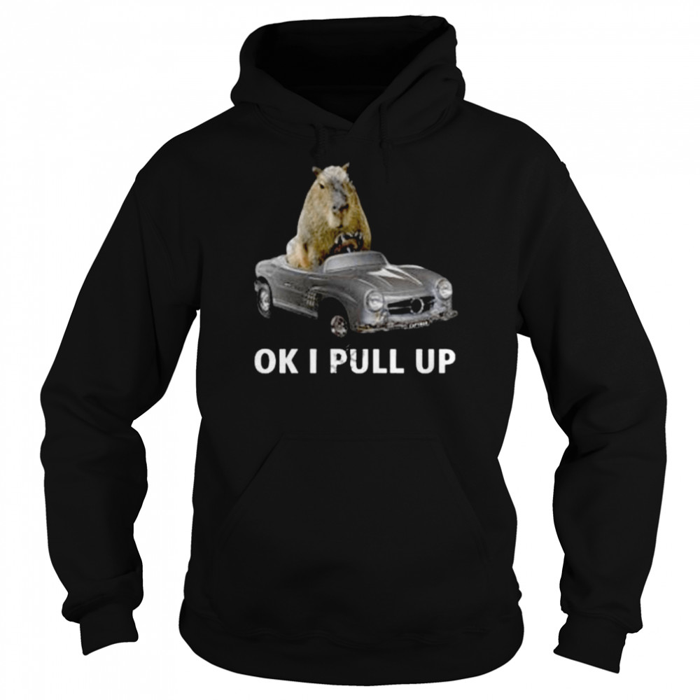 Capy Car Ok I Pull Up shirt Unisex Hoodie