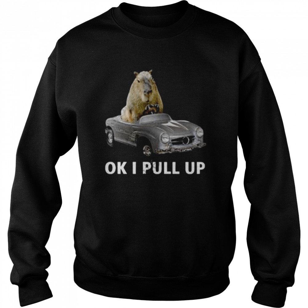 Capy Car Ok I Pull Up shirt Unisex Sweatshirt