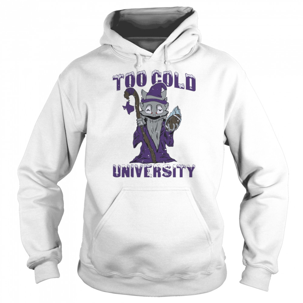 Too Cold University Fort Worth Football  Unisex Hoodie